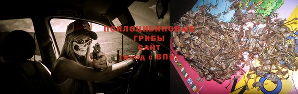 спайс Вяземский