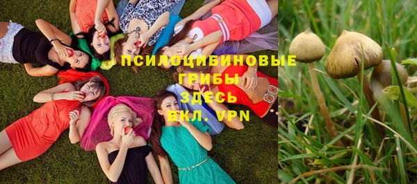 спайс Вяземский