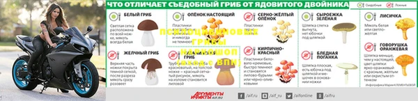 дурь Вязьма