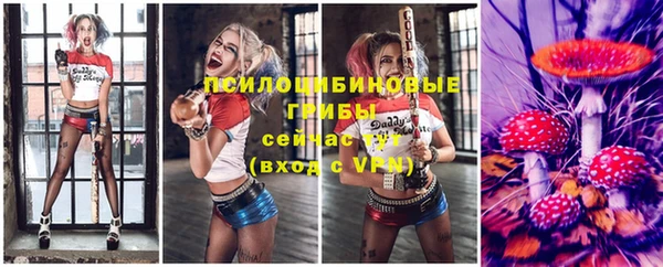 спайс Вяземский