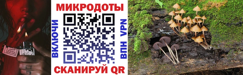 Галлюциногенные грибы Cubensis Купить где Абаза